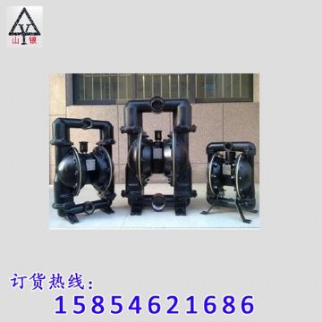 點擊查看詳細信息<br>標題：氣動隔膜泵 閱讀次數：1310