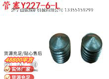 點(diǎn)擊查看詳細(xì)信息<br>標(biāo)題：英格索蘭隔膜泵配件管塞Y227-6-L 閱讀次數(shù)：152