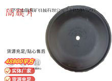 點擊查看詳細信息<br>標題：氣動隔膜泵配件-隔膜片 閱讀次數：131